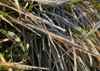 Valderredible registra la mínima de Cantabria con -5,1 ºC en una jornada de heladas generalizadas