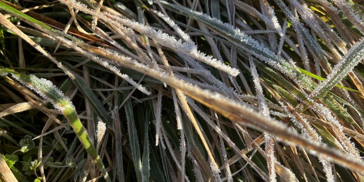 Valderredible registra la mínima de Cantabria con -5,1 ºC en una jornada de heladas generalizadas