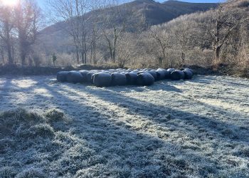 Cubillo de Ebro registra -10,1 grados y marca la sexta temperatura más baja de España