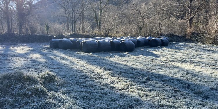 Cubillo de Ebro registra -10,1 grados y marca la sexta temperatura más baja de España
