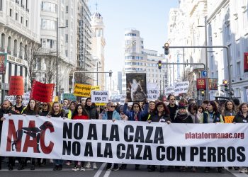 Manifestación en Santander por los derechos de los perros utilizados en la caza