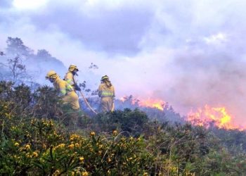 Cantabria registra cuatro incendios forestales, dos de ellos aún activos