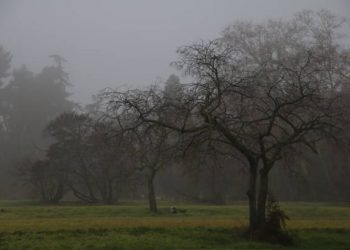Temperaturas en ascenso y cielos nubosos en Cantabria para este lunes 20 de enero
