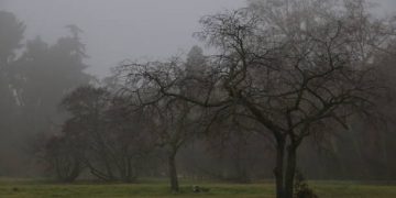 Temperaturas en ascenso y cielos nubosos en Cantabria para este lunes 20 de enero