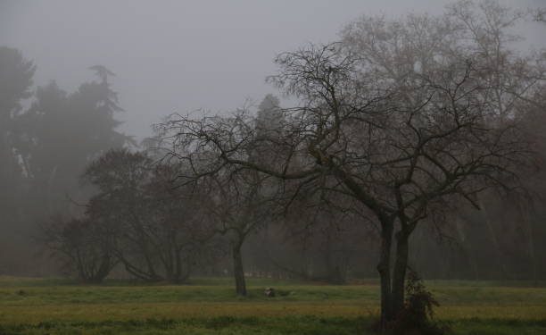 Temperaturas en ascenso y cielos nubosos en Cantabria para este lunes 20 de enero