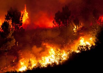 Cantabria registra 13 incendios forestales activos al cierre del viernes
