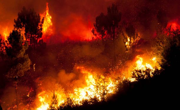 Cantabria registra 13 incendios forestales activos al cierre del viernes