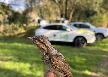 El proyecto STEPS for LIFE arranca 2025 con un semestre repleto de actividades medioambientales en Cantabria