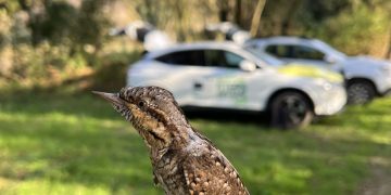 El proyecto STEPS for LIFE arranca 2025 con un semestre repleto de actividades medioambientales en Cantabria