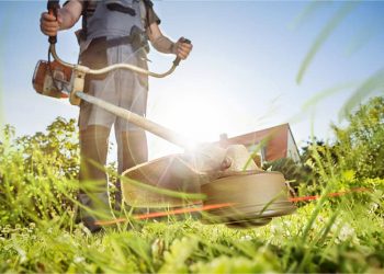 El Gobierno de Cantabria destina 25,8 millones a las corporaciones locales para la contratación de 2.500 personas desempleadas