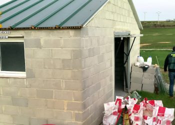 La Federación DEAN pide 18 meses de prisión para el acusado por la muerte de 29 perros en Suances