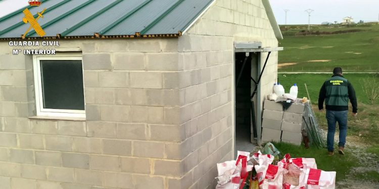 La Federación DEAN pide 18 meses de prisión para el acusado por la muerte de 29 perros en Suances