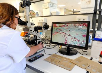 El IDIVAL lanza su convocatoria 2025 para dinamizar la investigación biosanitaria en Cantabria