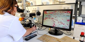 El IDIVAL lanza su convocatoria 2025 para dinamizar la investigación biosanitaria en Cantabria