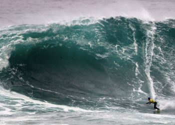 La Vaca Gigante activa la alerta amarilla para la posible celebración de su XI edición