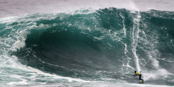 La Vaca Gigante activa la alerta amarilla para la posible celebración de su XI edición