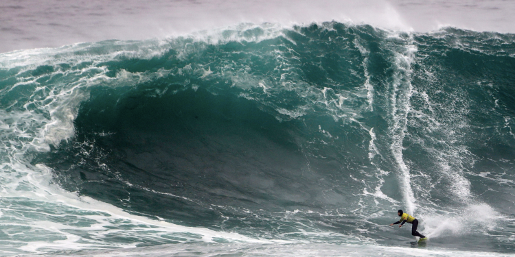 La Vaca Gigante activa la alerta amarilla para la posible celebración de su XI edición