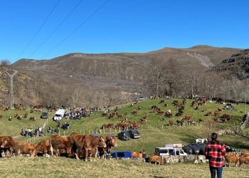 La feria de Hornero en Saja se aplaza al 8 de febrero debido a la meteorología