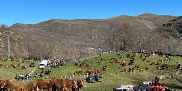 La feria de Hornero en Saja se aplaza al 8 de febrero debido a la meteorología