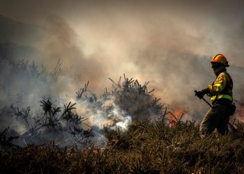 Cantabria reduce a dos los incendios forestales activos de los 39 registrados en el día