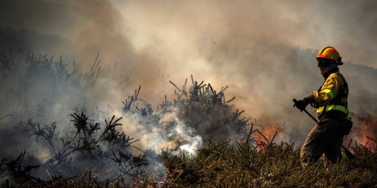 Cantabria reduce a dos los incendios forestales activos de los 39 registrados en el día