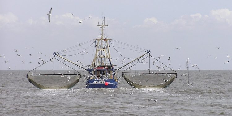 Cantabria destina 100.000 euros en ayudas para que jóvenes pescadores compren su primer barco