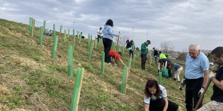 Santander Capital Natural impulsa el voluntariado ambiental con tres actividades en febrero