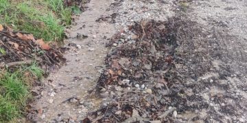 El PP de Torrelavega solicita mejoras urgentes en la carretera de acceso a la zona de la Montaña