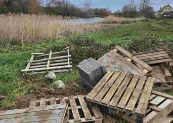 El PRC urge a Gema Igual a recuperar las Pozonas de San Román por su valor medioambiental