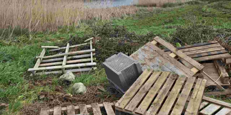 El PRC urge a Gema Igual a recuperar las Pozonas de San Román por su valor medioambiental