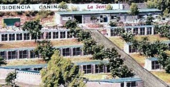 Residencia La Sentiu amplía su oferta con cursos y servicios para mascotas en Barcelona