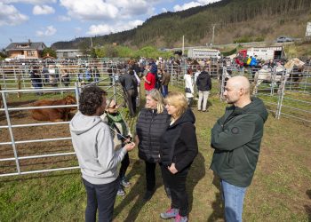 Éxito rotundo en la feria ganadera de ‘El Ángel’ en Vargas con más de 400 animales y 43 ganaderías
