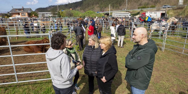 Éxito rotundo en la feria ganadera de ‘El Ángel’ en Vargas con más de 400 animales y 43 ganaderías