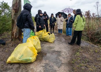 Voluntarios retiran 100 kilos de basura en la ría de Requejada en una jornada de limpieza medioambiental