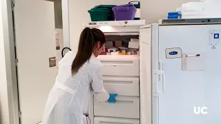 Investigadores de la Universidad de Cantabria desarrollan una nueva terapia contra la osteoporosis