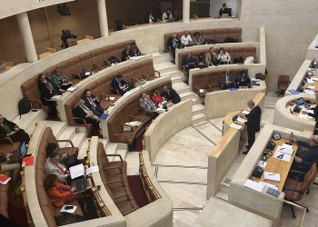 PP y Vox impulsan la Ley de Simplificación Administrativa en Cantabria con el apoyo del diputado no adscrito