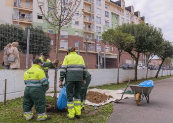 Torrelavega impulsa la educación ambiental con la plantación de árboles frutales en colegios