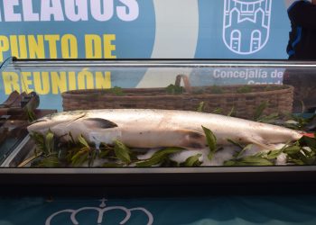 Piélagos acogerá de nuevo la subasta del “Campanu” de Cantabria tras la captura del primer salmón de la temporada