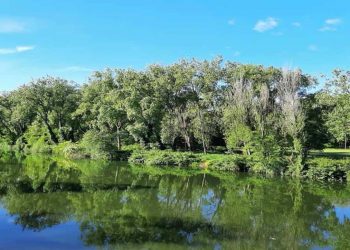 Torrelavega saca la licitación de la restauración del Parque de Las Tablas con una inversión de un millón de euros