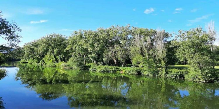 Torrelavega saca la licitación de la restauración del Parque de Las Tablas con una inversión de un millón de euros