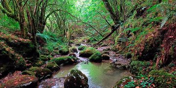 El IHCantabria estudia el papel de los refugios térmicos en ríos de montaña para frenar los efectos del cambio climático