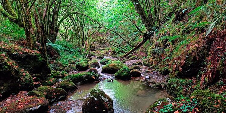 El IHCantabria estudia el papel de los refugios térmicos en ríos de montaña para frenar los efectos del cambio climático