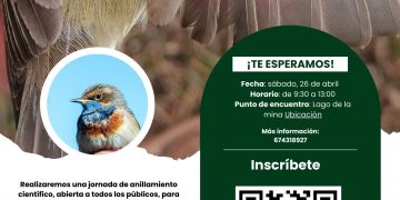 Torrelavega invita a descubrir sus aves con una jornada de anillamiento en el Lago de la Mina