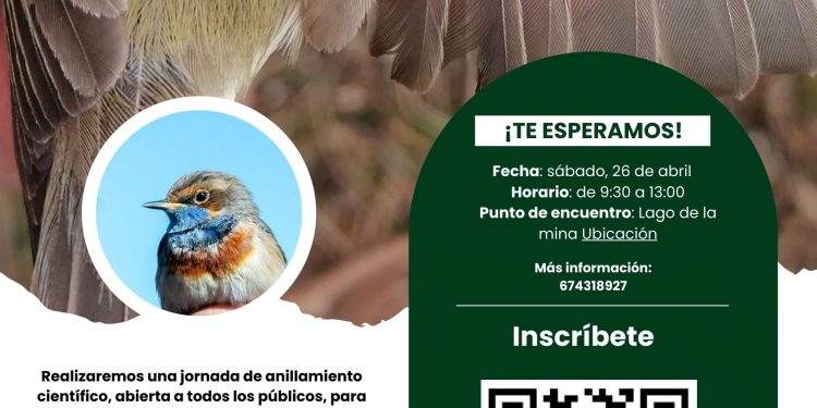 Torrelavega invita a descubrir sus aves con una jornada de anillamiento en el Lago de la Mina