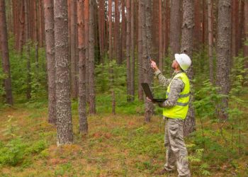 La ingeniería forestal gana terreno como aliada clave para preservar el entorno natural en Extremadura