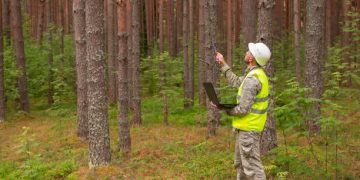 La ingeniería forestal gana terreno como aliada clave para preservar el entorno natural en Extremadura