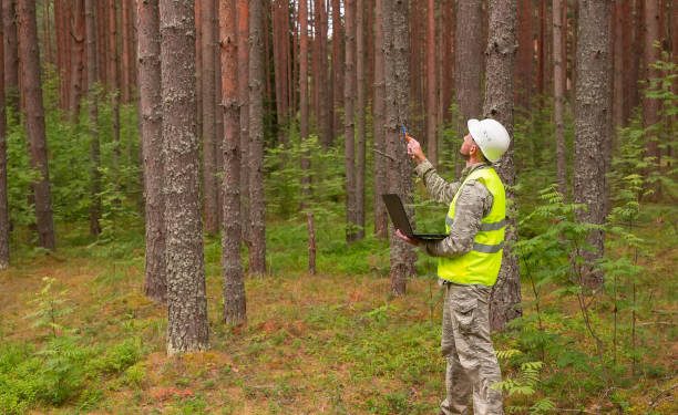 La ingeniería forestal gana terreno como aliada clave para preservar el entorno natural en Extremadura