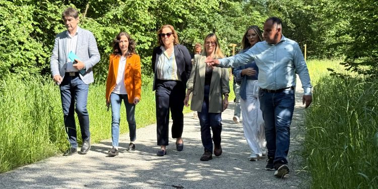 Las obras de restauración del río Saja encaran su recta final con avances clave en seguridad y mejora ambiental