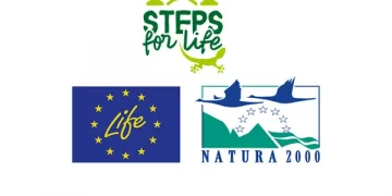 Steps For Life «Patrimonio cultural de Cantabria» / El Mirador 09-05-2025