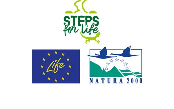 Steps For Life «Patrimonio cultural de Cantabria» / El Mirador 09-05-2025